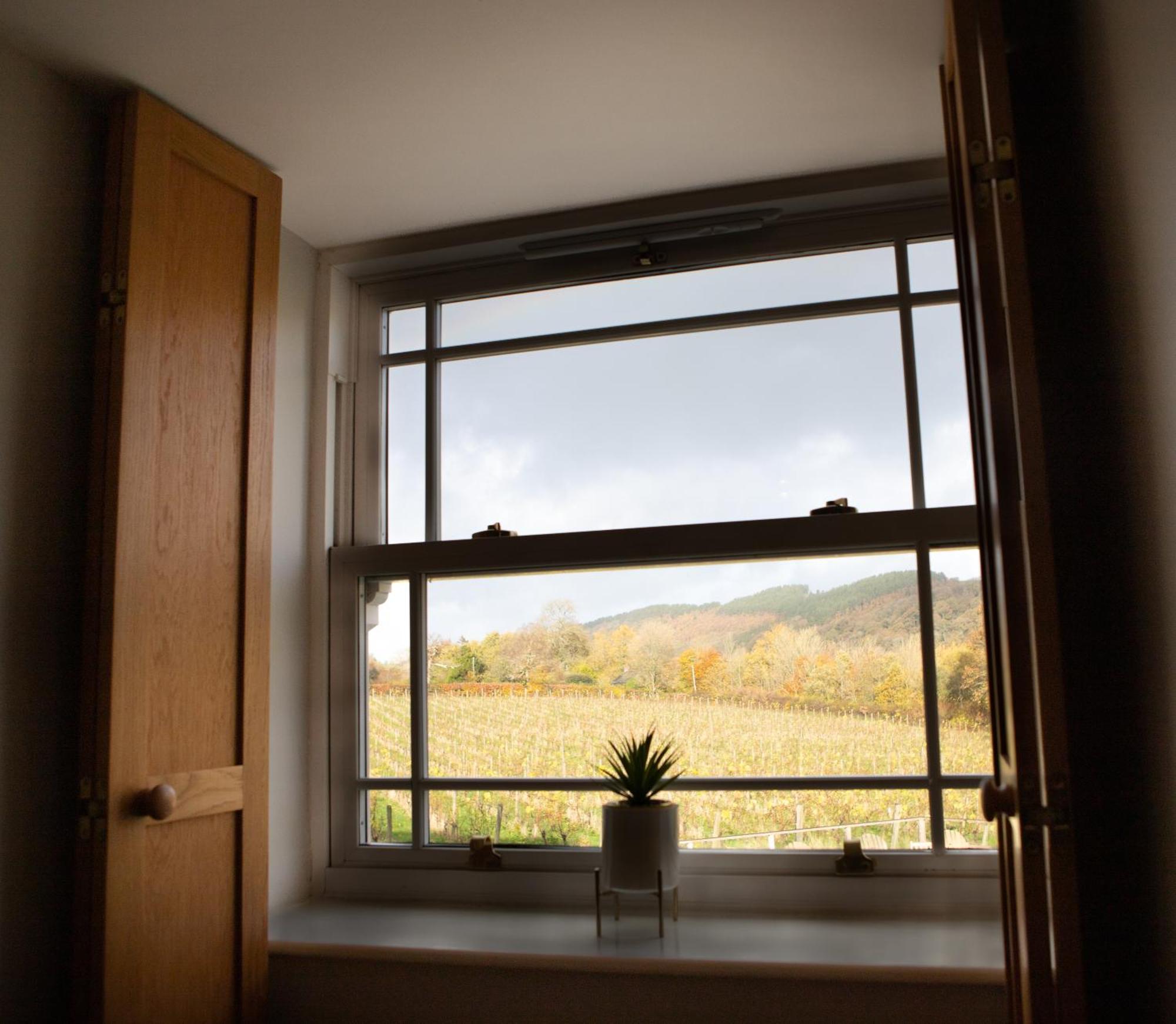 Vineyard Country Cottage Llanerch-Aeron Dış mekan fotoğraf
